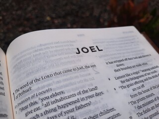 close up photo of a Bible page