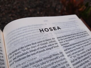 Obraz premium close up photo of a Bible page