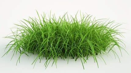 A  lush green grass, freshly cut and vibrant, set isolated on a clean white background.