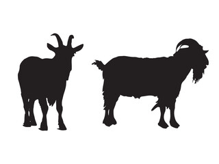 silhouette of a goat