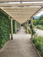 wooden bridge in the park