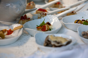 Delicious gourmet appetizers served on elegant white ceramic plates, perfect for catering and events.