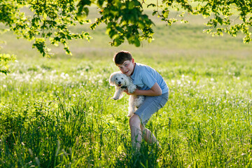 Happy kid boy and his maltese dog, having fun on summer day in green grass meadow. Friendship and...