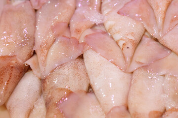 Fresh squid for sale in a fishmonger © Raquel Pedrosa