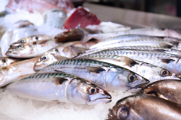 Severeal fishes on ice for sale in a fish shop