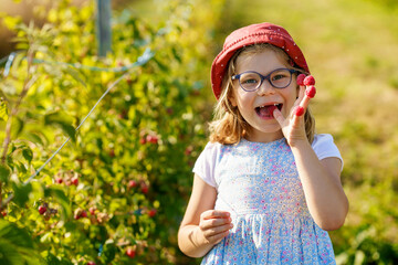 Adorable Little Girl Eating Raspberries on Organic Pick a Berry Farm. Cute Preschool Child Enjoying...