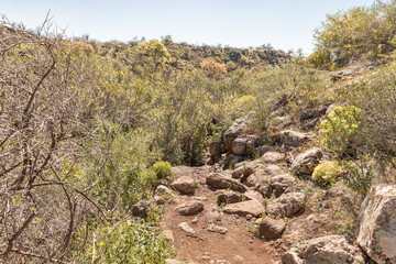 Majestic  nature in Yehudia National Natural Park in northern Israel