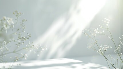 Naklejka premium Simple White Background