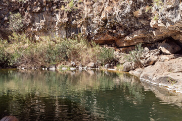 A small  lake with fish framed by rocks with overgrown bushes and trees on the banks in Yehudia National Natural Park in northern Israel
