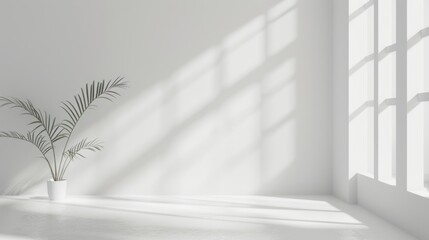 Obraz premium Simple White Background
