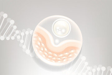 Hyaluronic acid and Niacinamide hair and skin solutions ad, white collagen serum drops into skin cell with cosmetic advertising background ready to use, illustration vector.