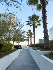 Palm Trees and Landscaped Gardens in Al Maryah Island Sky Park, Abu Dhabi