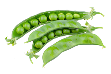 Green pea pod fresh healthy vegetable on transparent white background..