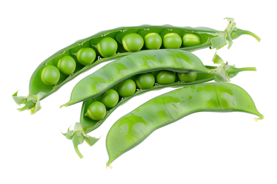 Green pea pod fresh healthy vegetable on transparent white background..