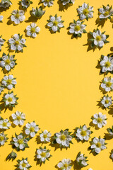 White flowers arranged in a circular pattern on a yellow backgro