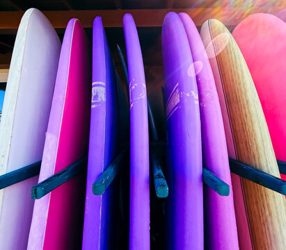 A close up of pink and purple surf boards with lens flare in the