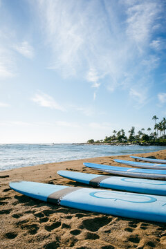 A row of blue surfboards lined up in the sand on an empty beach