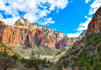 Fototapeta premium Zion National Park From Emerald Pools Trail
