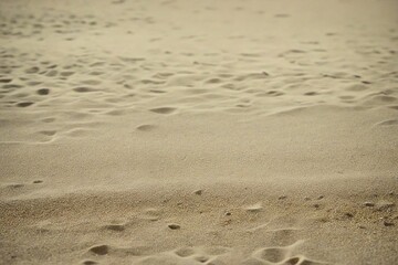footprints in the sand