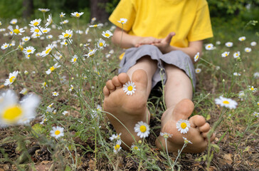 bare feet of a child sitting among blooming wild daisies in a meadow in the forest. joy, relaxation, positive, happy childhood. Hello summer, energy of nature. Earth Day. selective focus