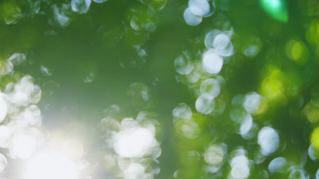 Green bokeh on nature abstract blur. Green natural background of out of focus forest or bokeh. Blur.