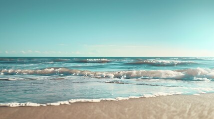 summer day the seaside 