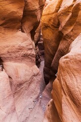 Journey through the Negev Desert