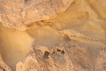 Journey through the Negev Desert