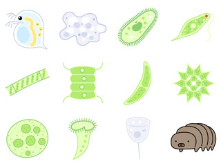 微生物のイラストセット
