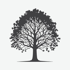 Obraz premium Print Majestic Sycamore Tree Silhouette, A Stunning Natural Masterpiece