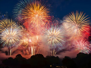 fireworks by the river , fireworks in new year celebration