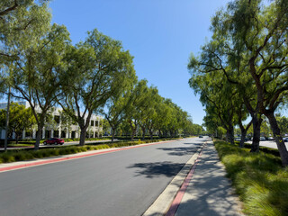  Empty road of a a business complex with trees