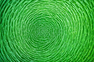 Obraz premium green fingerprint background