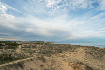 Fototapeta premium Coastal Dunescape