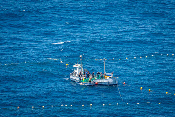 May 2024. Almadraba Fishing in La Azohia, Murcia. Spain