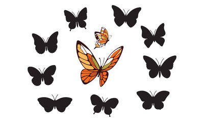 Flying butterflies silhouette black set isolated on white background and Colorful Butterfly symbol.