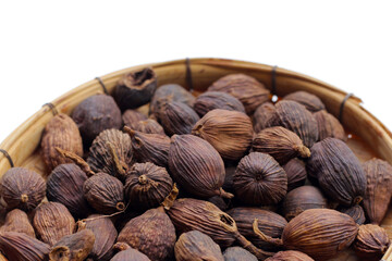 Black Cardamom or Greater Cardamom