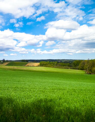 Green fields in Kashubia region - Northern Poland.