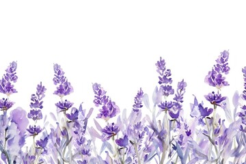 Naklejka premium Lavender watercolor border backgrounds blossom flower.