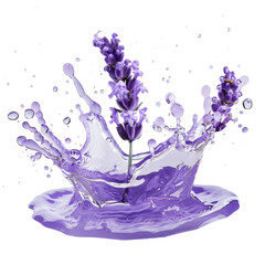 lavender oil, lavender flower branch and purple liquid water splash isolated on transparent background, concept of lavender aroma ingredient extract scent essence flavor taste aromatherapy © annaspoka
