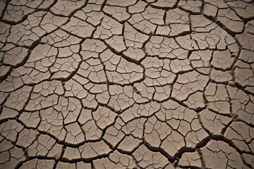 dry earth