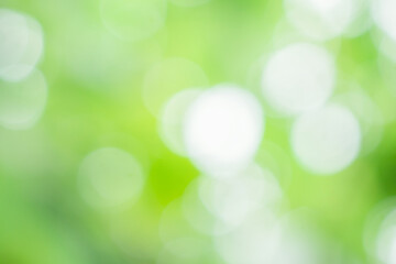 Abstract blur green leaf bokeh nature background