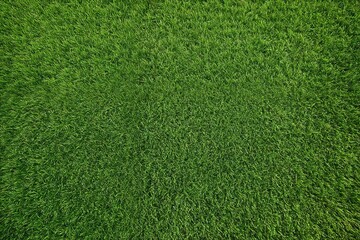 Obraz premium green grass background