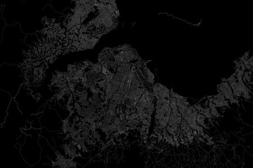 Stylized map of the streets of Kinshasa (Congo) made with white lines on black background. Top view. 3d render, illustration