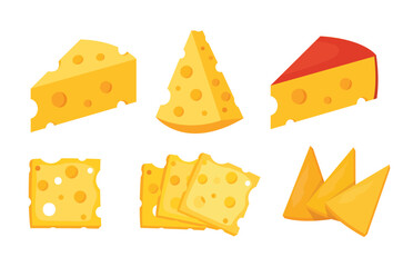 cheese parts and slices vector illustration