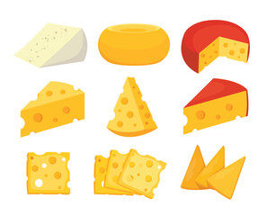 cheese parts and slices vector illustration