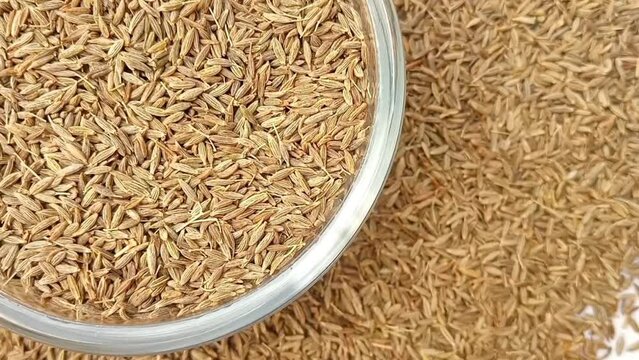 Cumin seeds in a glass bowl rotating top left corner with spices spilled around it, white background, closeup, herbs and spices.