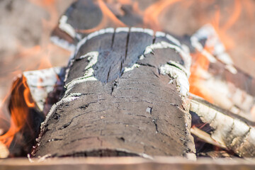 A close up of a log burning in a fire with flames emerging from it