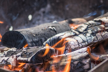 A close up of a log burning in a fire with flames emerging from it