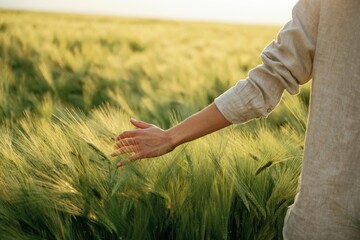 Touching the plants. Woman in white is on the agricultural wheat field